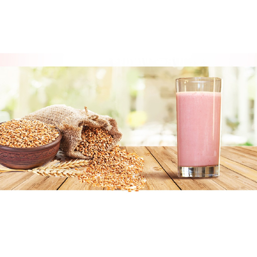 Biolina Biofood Meal Replacement 4