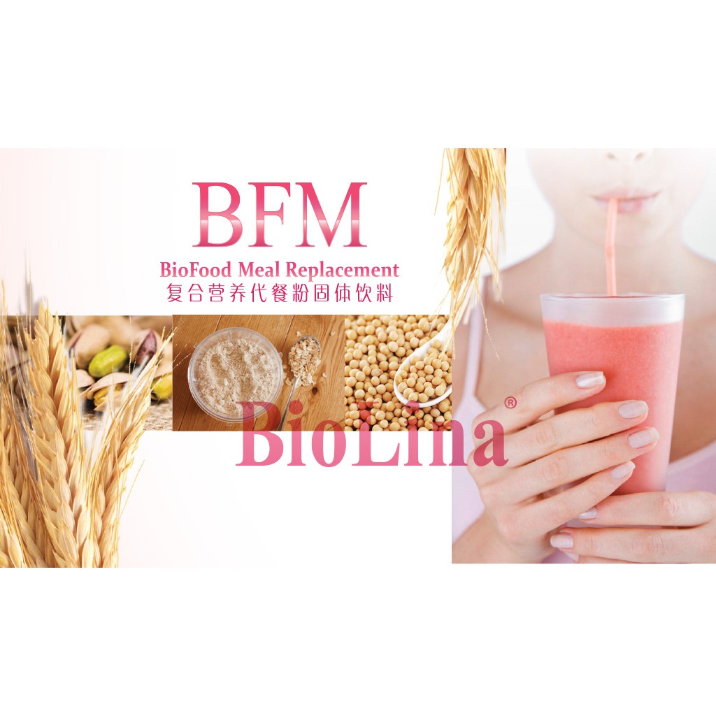 Biolina Biofood Meal Replacement 6
